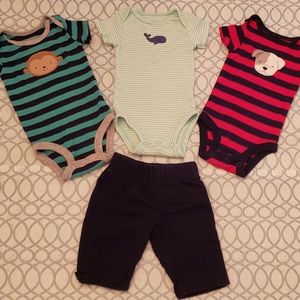 Striped Animal Buddies